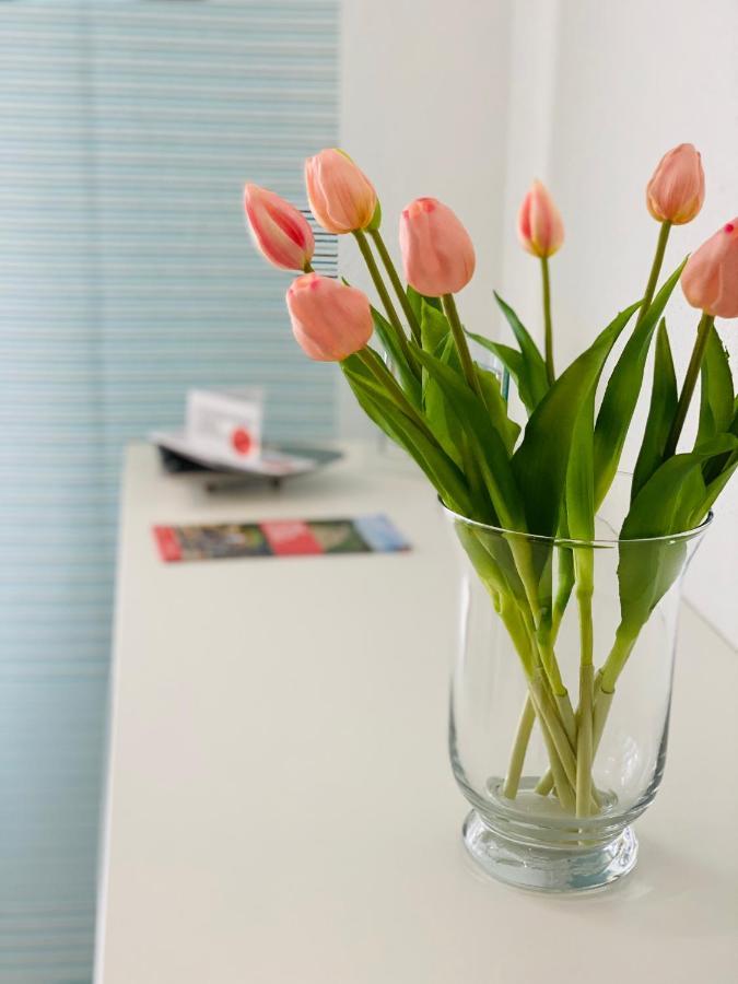 Ferienwohnung Familie Seuferle シュヴァイゲン・レヒテンバッハ エクステリア 写真